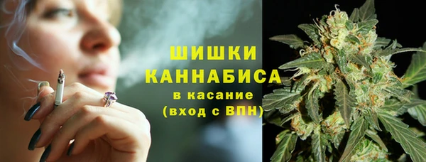 дживик Волосово