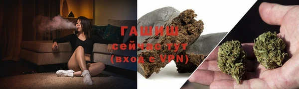 стаф Вяземский